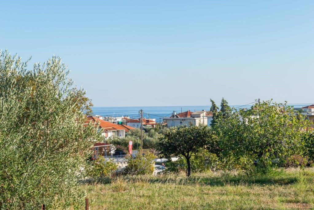 Όμορφο Παραθασυγκρότημα Ενοικιαζόμενων Καταλυμάτων Ως Ολόκληρος Χώρος - Chrani, Ελλάδαλάσσιο Διαμέρισμα Exteriör bild